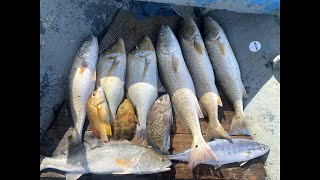 Ombrine Fish on Softbait at Grand Sable Mauritius  Ep57 [upl. by Hoban182]