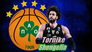 Tornike Shengelia ● Panathinaikos Transfer Targetᴴᴰ [upl. by Christan816]