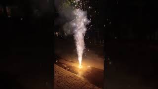 Happy Diwali 🎇  chakri  helicopter wala bomb  celebration  weekend  masti [upl. by Doowyah]