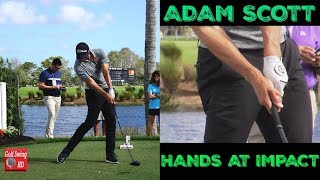 ADAM SCOTT HANDS AT IMPACT SLOW MOTION DRIVER GOLF SWING 1080 HD [upl. by Aned]