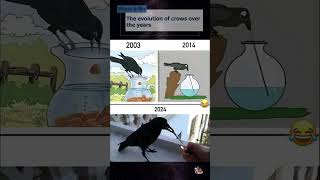 The evolution of crows over the years shorts mouseandbin [upl. by Frear]