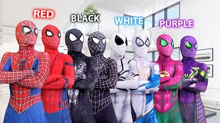 PRO 6 SpiderMan Bros vs ALL Color Day Compilation  1 Hour by FLife TV [upl. by Lleroj629]