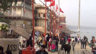 Varanasi by the ghats [upl. by Wilburt447]