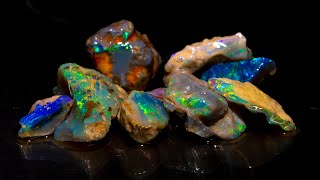 LIVE opal cutting session and Tucson gem show recap [upl. by Ralat]