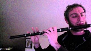 Morrisons Jig  Irish Flute  slowfast [upl. by Heall241]