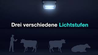 DeLaval LED Stalllampen – Eine leuchtende Idee [upl. by Chapin922]