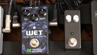 Neunaber Stereo Wet Reverb Demo [upl. by Tull298]