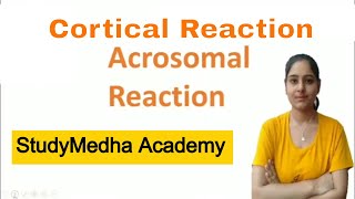 Cortical Reaction  Acrosomal Reaction  byHarSimran  StudyMedha Academy [upl. by Rennug478]