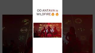 Sreeleelas KISSIK is FIRE🔥  but Samanthas OO ANTAVA is WILDFIRE🔥🔥 [upl. by Irrem246]