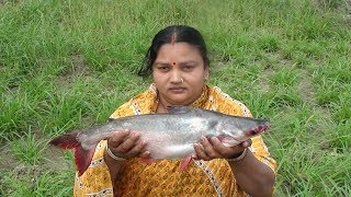 Big Size Pangasius Fish Recipe  Tasty Village Style Pangasius Fish Curry [upl. by Ecirtnas]