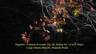 Paganini  Centone di sonate Op 64 Sonata No 14 in G Major [upl. by Hannahs168]