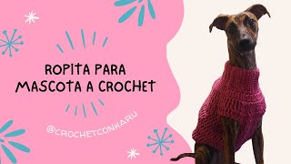 CÓMO TEJER UNA ROPITA A CROCHET PARA TU MASCOTA  CROCHET CON KARU [upl. by Rellek]