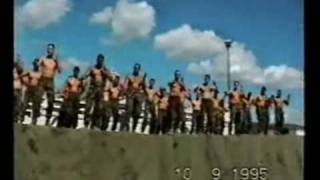 Ngati tumatauenga waiata [upl. by Squire]