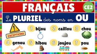 Le pluriel des noms en OU eme français grammaire [upl. by Rainer446]