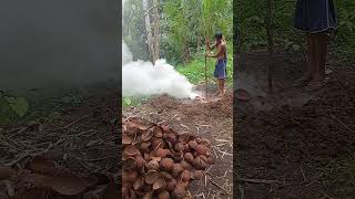 Charcoal making from coconut shell travel hogfarmers 🤗🤗🤗🤗 [upl. by Gneh]