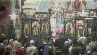 December 17 2023 Divine Liturgy  Saint Ann Byzantine Catholic Church [upl. by Sorcim539]