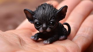 Man Thinks He Saved A Puppy When Vet Sees What It Is He Turns Pale [upl. by Elisa23]