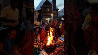 Sri mandir sankrati homo puja sihadyar samnare🙏🙏youtubeshorts puri trending travel youtubevideo [upl. by Ydarg643]