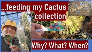 Fertilizing amp feeding my cacti and succulents  why what how and when cacti cactus fertilizer [upl. by Dora355]