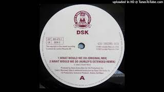 DSK  What Would We Do Original Mix [upl. by Marc]