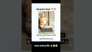 Save animal 🙏savelife saveanimals doglover death shortfeed shortsvideo shortstrending save [upl. by Rehpatsirhc]