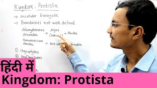 Kingdom Protista in Hindi [upl. by Tezile702]