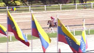 8va carrera  3ra Valida  Pintoresca  Hipódromo La Rinconada  Reunión 28  2024 [upl. by Bernardi]