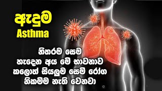 ඇදුම ‍කැස්ස සයිනස් හිසරදය පෙනහළු වල සෙම උගුරේ සෙම ආසාදන ඇතුලු සියලුම සෙම් රෝග සුව කිරීම භාවනාව [upl. by Yelkrab]