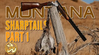 Montana Sharptails Part 1  Hunting with a GSP and Lab [upl. by Aiuqenehs]