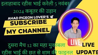 3 बाजे के अपडेट रईस भाई की छत से शाम की फाइनल LIVE UPDATE ahad pigeon lovers ❤️🕊️🕊️ [upl. by Aldon]