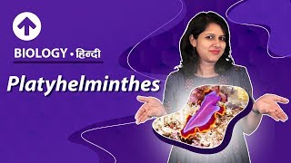 Platyhelminthes  Hindi  Diversity In Living Organisms  Biology Class 9 [upl. by Travus]