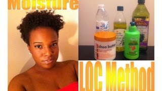 Natural Hair LOC Method [upl. by Eaneg745]