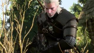 Witcher 3 Wild Hunt  How to defeat the Noonwraith [upl. by Feodora]