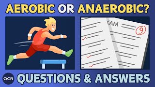 Aerobic and anaerobic exercise 14  OCR GCSE PE  Exam questions and model answers [upl. by Alilad897]