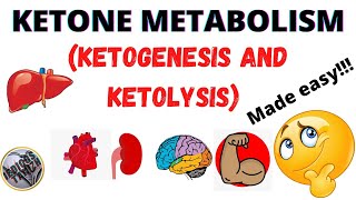 Ketone metabolismketogenesisketolysisRegulation of ketone metabolismmedicos tamizhatamil [upl. by Laurie89]