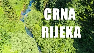 Crna rijeka  Black River in Plitvice NP [upl. by Ztnahc]