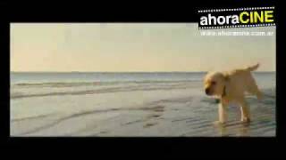 Marley y yo  Marley and me Trailer subtitulado [upl. by Inalaeham]