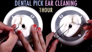 ASMR 1 Hour of Ear Cleaning wDental Pick amp Tweezers No Talking [upl. by Reyotal700]