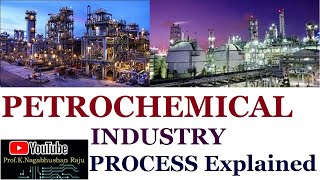 Petrochemical Industry  Process Overview  Detailed Explanation [upl. by Kendre]