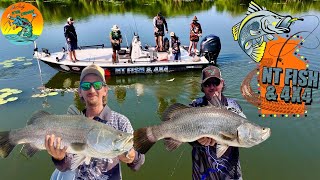 INSANE Barramundi FishingFootage with NT FISH amp 4X4 Northern Territory [upl. by Waterer]