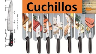 Tipos de cuchillos en la cocina  Usos de los cuchillos de cocina  Gastronomía [upl. by Acilejna232]