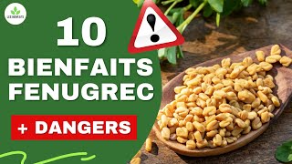 FENUGREC  SES DANGERS ET BIENFAITS POUR LA SANTE [upl. by Dieter]