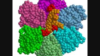 A rotary motion of F1ATPase by a coarsegrained model simulation [upl. by Yee]