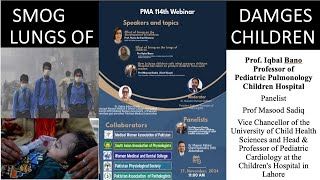 Effect of Smog on the lungsbrain and development of ChildrenProf Iqbal BanoProf Masood sadiq [upl. by Tubb685]