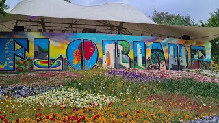 Floriade 2023 Canberra BestOfFlowersTV NatGeo discovery TravelGuidesAU australia flowers [upl. by Ayikin]