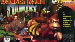 Donkey Kong CountryJungle Hijinx [upl. by Ailito305]