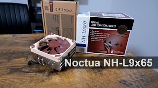 Noctua NH L9x65 review [upl. by Cedell]