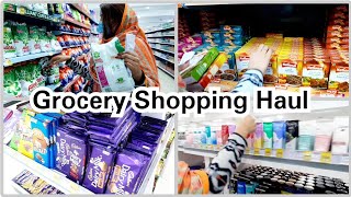 Monthly Grocery Shopping  Vlog with my Daughters [upl. by Zertnom]