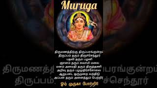 Arupadai vitu konda thiru murugamurugasongs devotionalsong murugawhatsappstatus [upl. by Nette982]