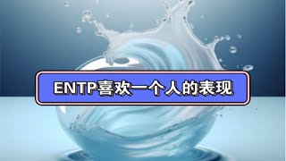 ENTP：喜欢一个人有什么表现？（以及注意事项） [upl. by Onej]